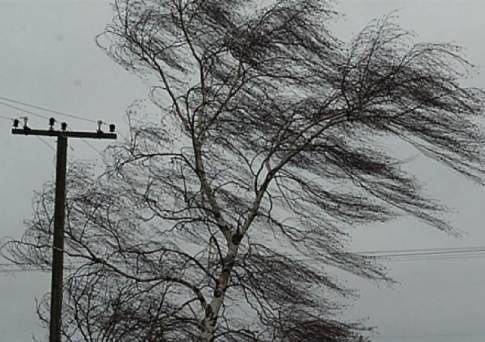 Штормовое предупреждение из-за гроз и сильного ветра объявлено в шести областях Казахстана