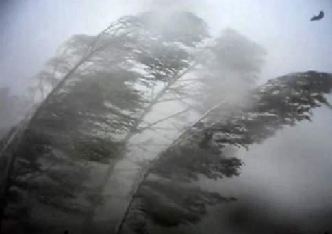 Штормовое предупреждение объявлено в 5-ти регионах Казахстана из-за сильного ветра