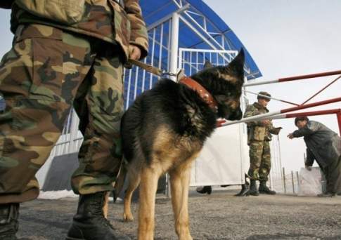 Погибший на границе с Киргизией казахстанец был ранее судим за нарушение госграницы - КНБ