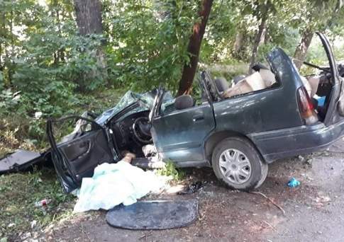 Двое погибли после падения дерева на легковушку на Кульджинском тракте в Алматы