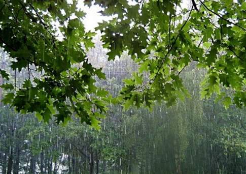 Грозовые дожди прогнозируют синоптики на большей части Казахстана в ближайшие три дня