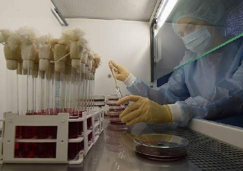 В Казахстане предлагают законодательно ввести уголовную ответственность за допинг