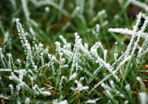 Заморозки сохранятся в большинстве областей Казахстана в ближайшие 3 дня