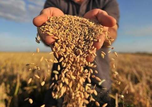 Увеличить экспорт переработанной продукции сельского хозяйства Казахстана в 2,5 раза к 2022 г. призвал Назарбаев