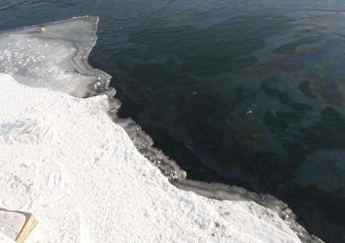 Экологи Усть-Каменогорска прокомментировали ситуацию с разливом топлива в городском водоеме