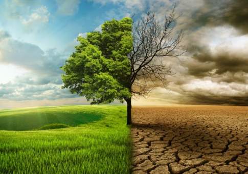 Казахстан присоединился к Парижскому соглашению по климату