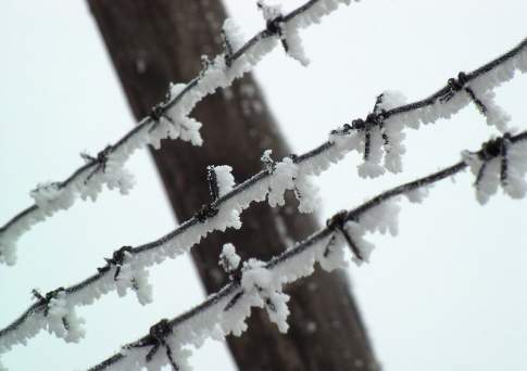 11 сотрудников павлодарской колонии и 4 «активиста» из числа заключенных обвиняются в пытках осужденных