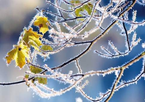 В пяти областях Казахстана объявлено штормовое предупреждение из-за ожидаемого резкого похолодания