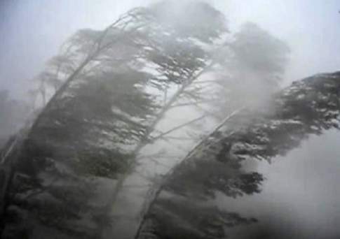 Штормовое предупреждение объявлено в Акмолинской и Северо-Казахстанской областях из-за грозы и сильного ветра