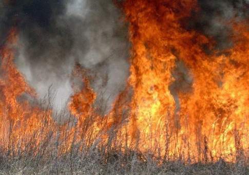 Дело по факту смерти 4-х человек при тушении степных пожаров в Актюбинской области взяла на контроль прокуратура