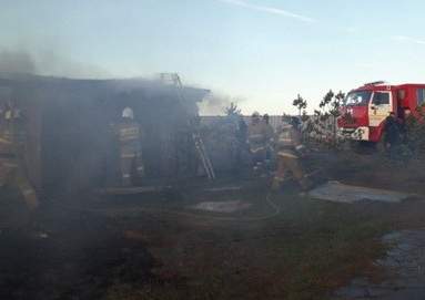 Ресторан сгорел в зоне отдыха Green park в пригороде Астаны (видео)