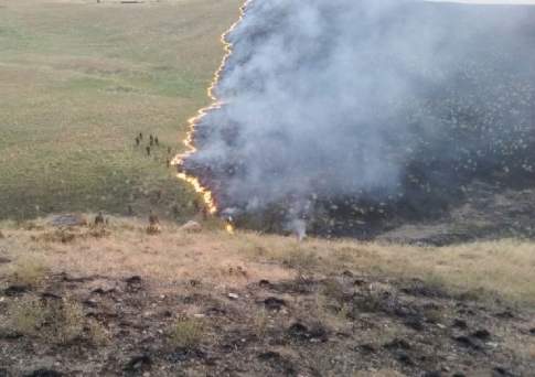 В Актюбинской области потушены степные пожары общей площадью 65 га