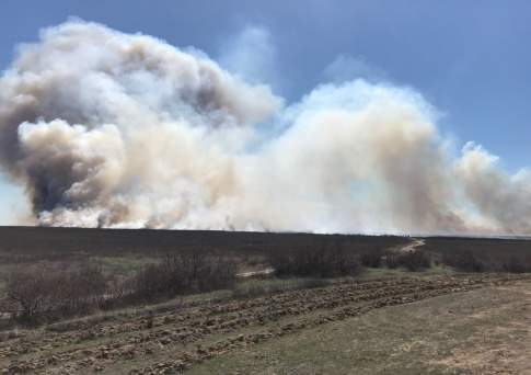 Ликвидирован пожар в природном резервате Атырауской области
