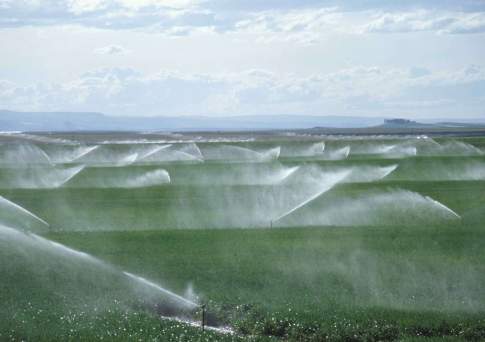 126 тыс. га поливных земель дополнительно введут в оборот к 2020 году в Алматинской области