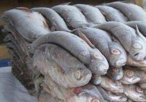 Россельхознадзор вернул в Казахстан крупную партию свежемороженой рыбы