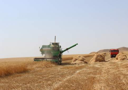 Назарбаев ознакомился с ходом уборочной страды в Акмолинской области