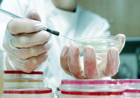 В Кызылорде выявили сальмонеллу в мясе российского производителя