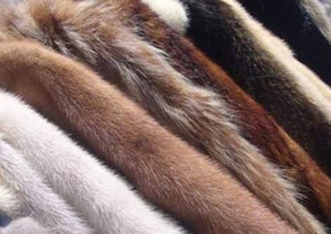  Маркировка меховых изделий запущена в Казахстане
