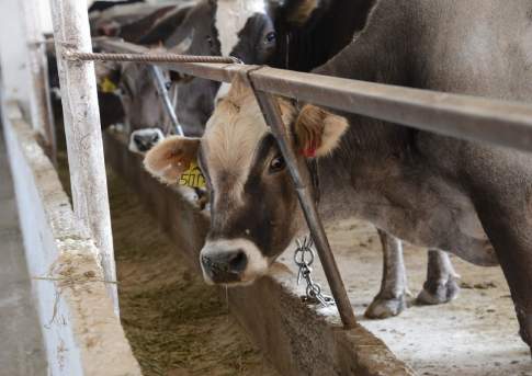 Кушайте на здоровье!