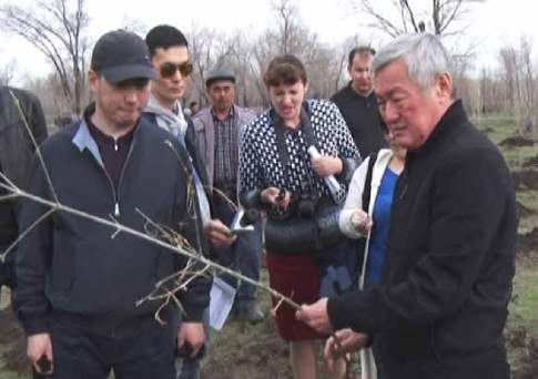 Не уверен - не сажай!