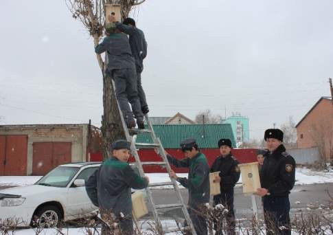 Ради гнездышка грача, не губитесь сгоряча