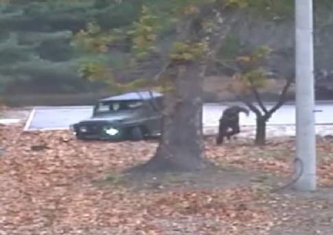 После Сирии - Дальний Восток?