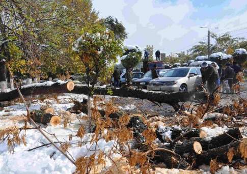 Субботник по собственному желанию