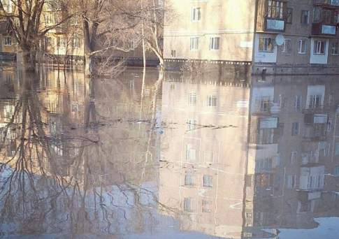 Паводок - на поводок