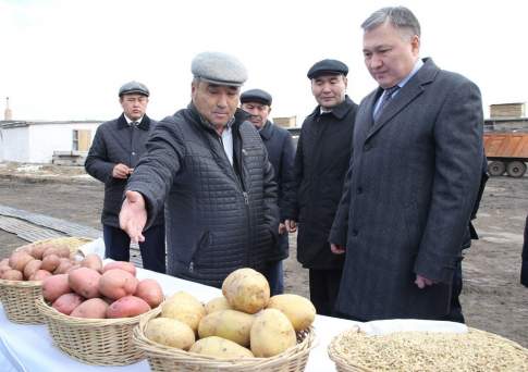 А жизнь-то налаживается!