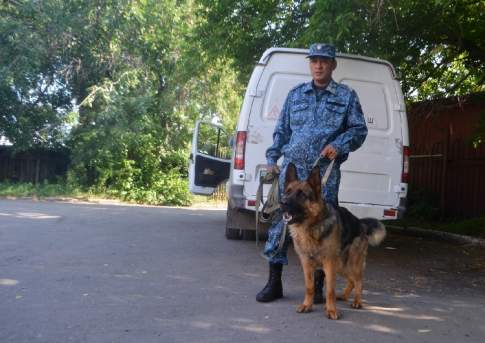 Нюх Злата не подвел