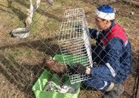 Забота у нас такая...