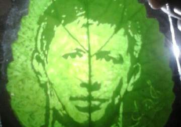 Вечно зелёные