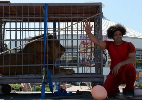 Львиная доля