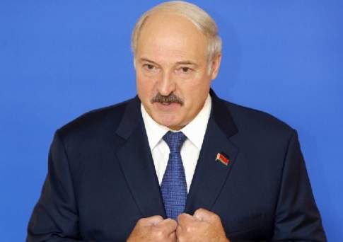 Чиж - в клетке. Ненадолго?