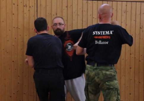 Под “Системой”