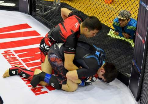 Драка на клеточном уровне