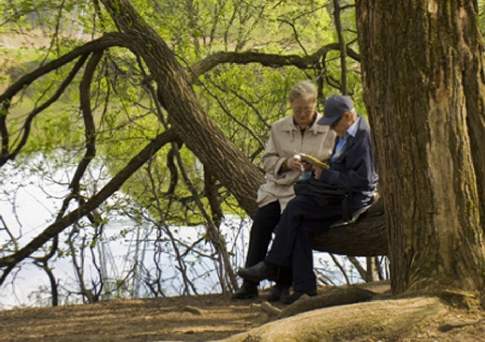 Руки политиков  в наших карманах