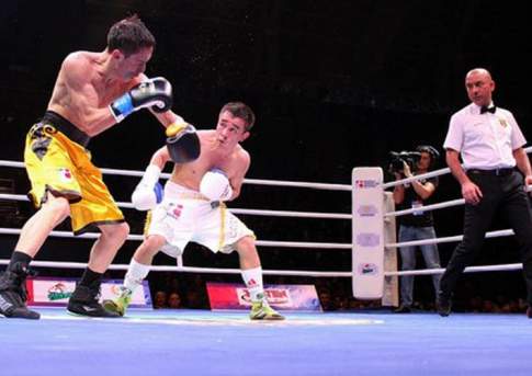 На то и тигр,  чтоб волк не дремал