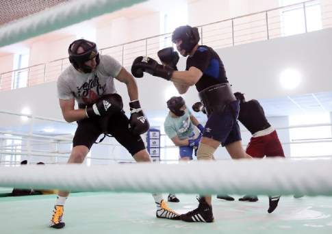 Груши из Германии