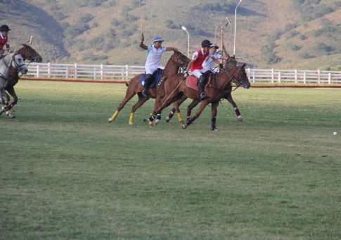 Миллион - за конный хоккей