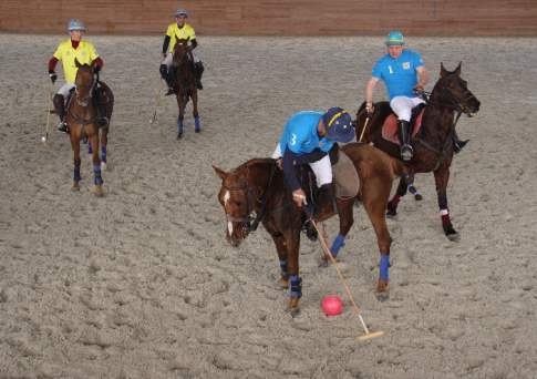 Пони на миллион