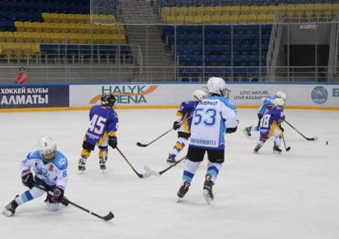 Ледовые рыцари