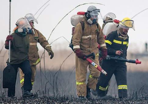 Из травы - дрова