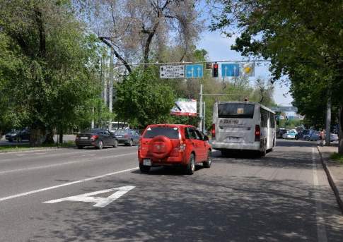 Овчинка выделенки стоит 