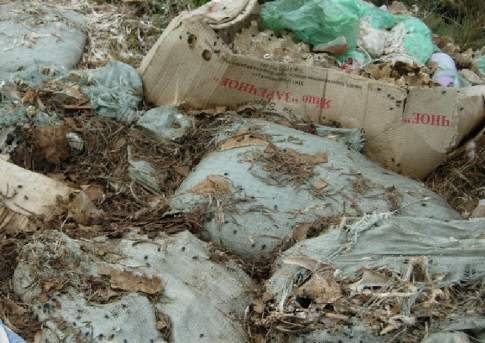 Искать виновного - дохлый номер?