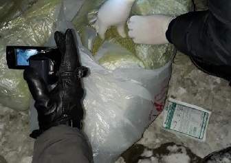 Трава под домом - повод для расследования