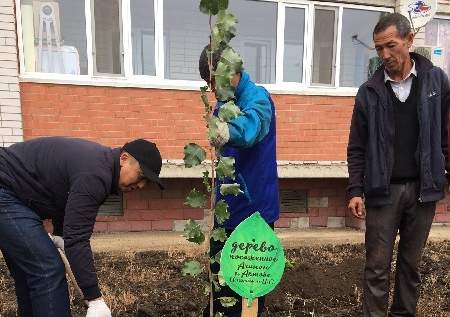 И птички запоют, и деревья вырастут