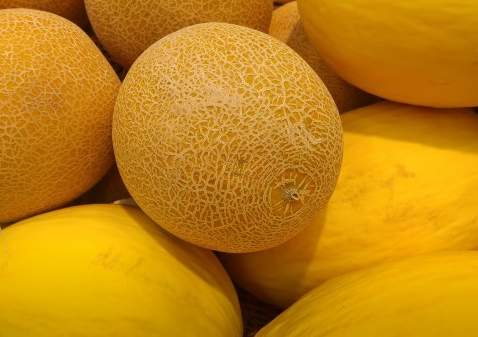 Экспорт не прошёл