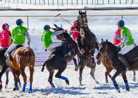 Дресс-код  для кобылы