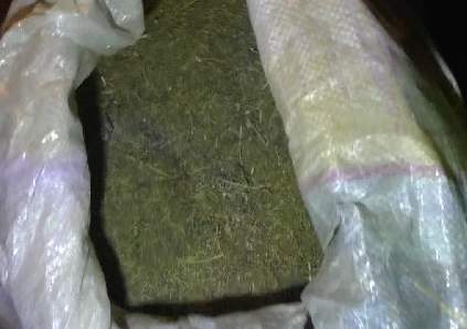 Авось пронесёт!